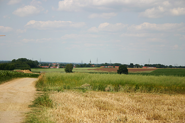 foto boomgaard 