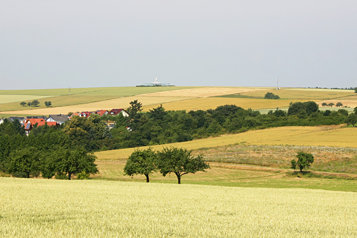 foto VOR/TAC TAU 